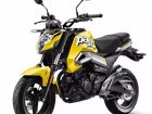 CF Moto CFMoto ST Papio 125